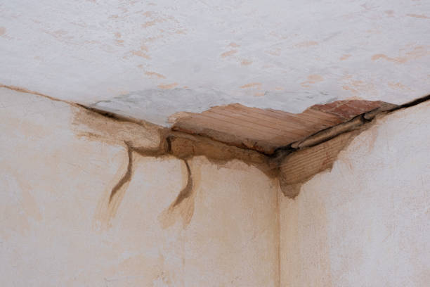 Best Residential water damage restoration  in Salamatof, AK