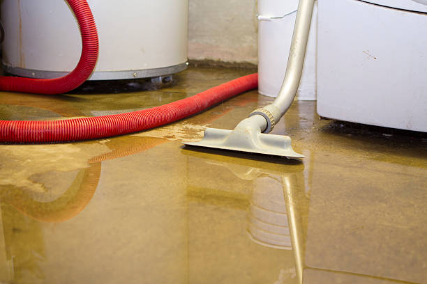 Best Sewage cleanup and water damage restoration  in Salamatof, AK